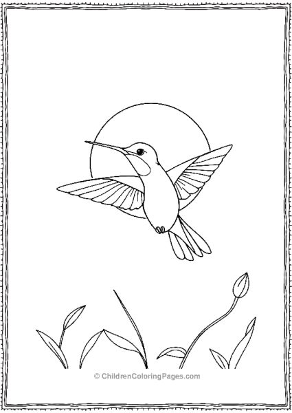 Hummingbird Spreading Its Wings Free PDF Printable