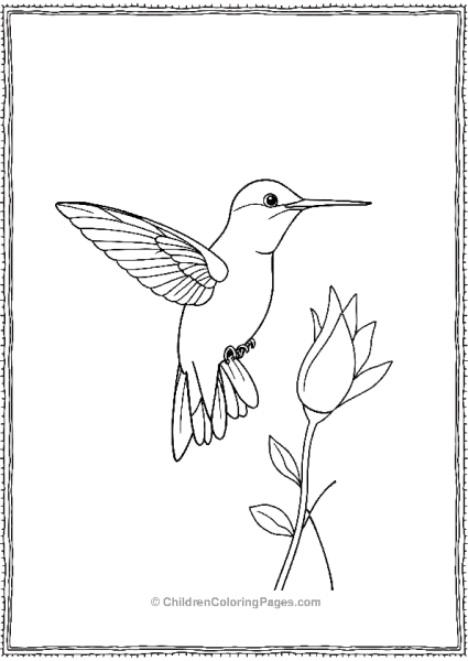 Hummingbird With Intricate Wings Free PDF Printable