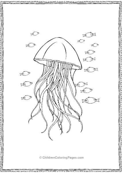 Jellyfish With School Of Fish Free PDF Printable