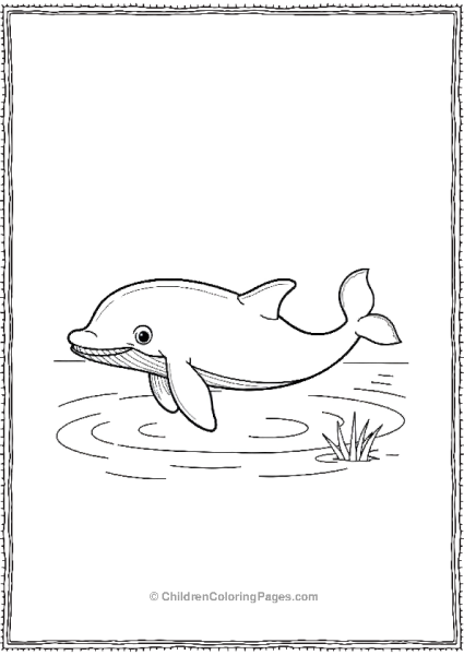 Killer Whale Swimming In Pool Of Water Free PDF Printable