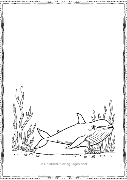 Killer Whale Swimming Near Coral Free PDF Printable