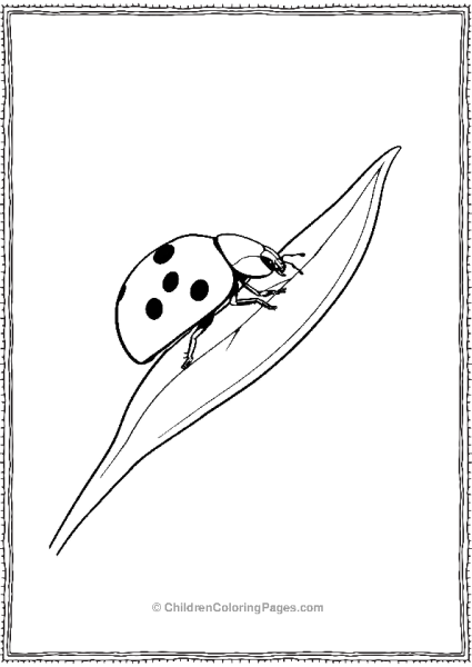 Ladybug Resting On A Leaf Free PDF Printable