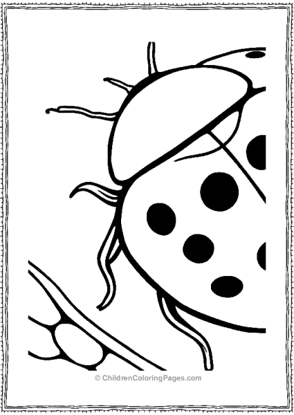 Ladybug With Spots And Shell Free PDF Printable