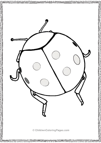 Ladybug With Visible Antennae And Legs Free PDF Printable