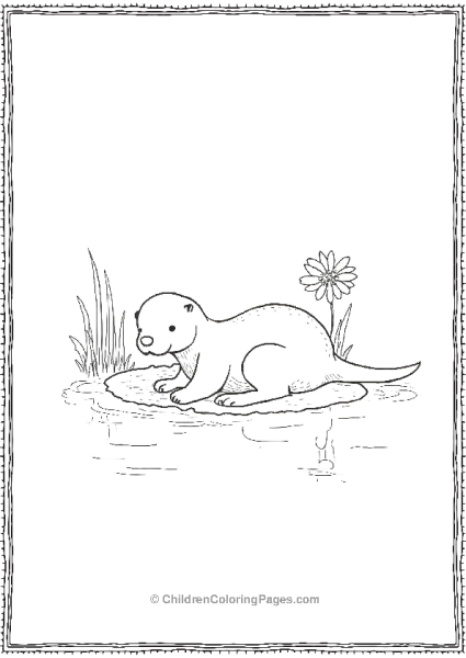 Otter Resting A Lilly Pad Free PDF Printable