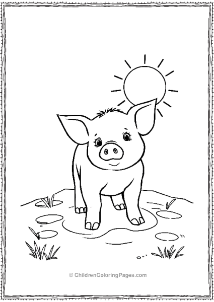 Pig Standing In Mud Puddles Free PDF Printable