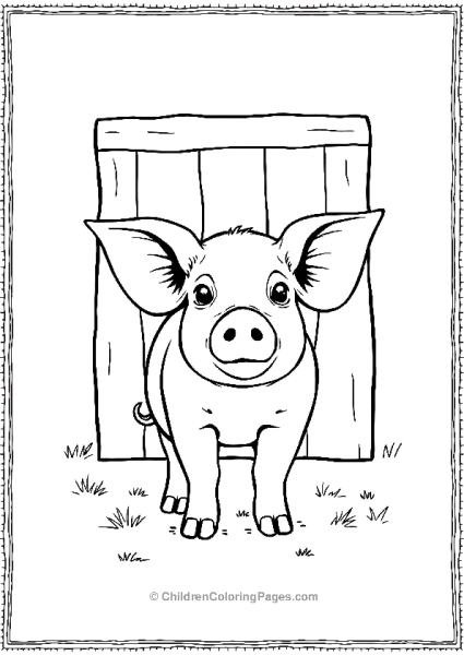 Pig With Large Floppy Ears Free PDF Printable