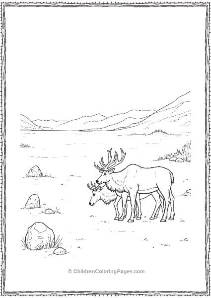 A Group Of Reindeer Grazing In A Wide Open Tundra Free PDF Printable