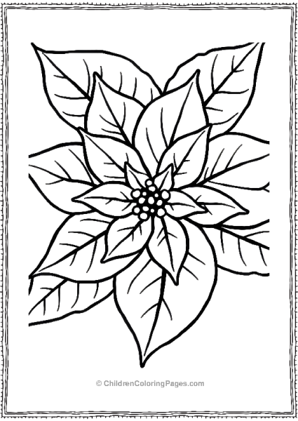 A Poinsettia Flower Free PDF Printable