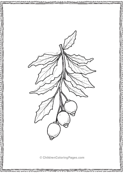 Mistletoe Leaf Free PDF Printable