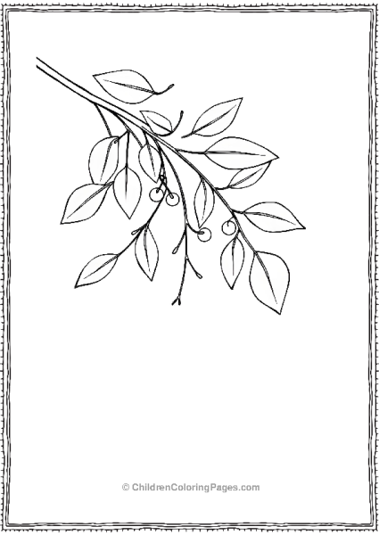 Mistletoe With Lines Easy To Color Free PDF Printable