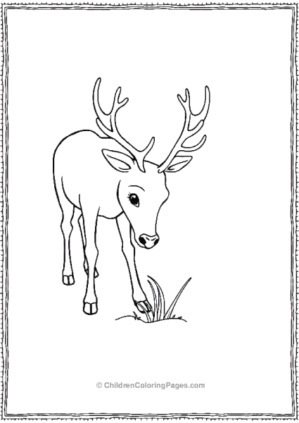 Reindeer Sniffing Grass Peeking Free PDF Printable