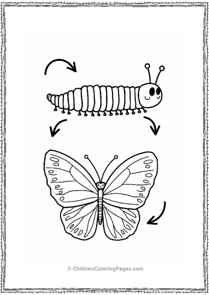 Caterpillar To Butterfly Transformation Free PDF Printable