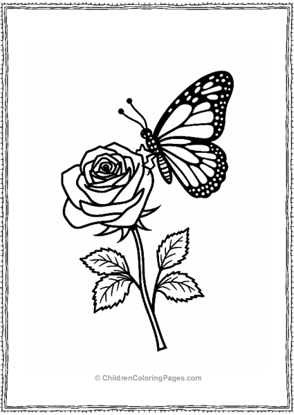 Curious Butterfly On A Rose Free PDF Printable