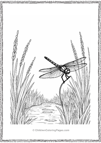 Dragonfly Habitat By The Pond Free PDF Printable