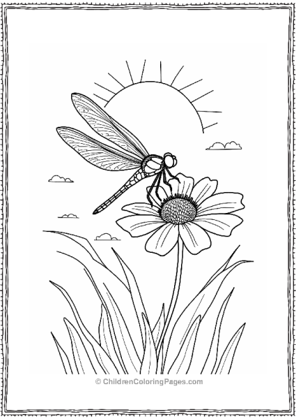 Dragonfly On A Flower At Sunset Free PDF Printable