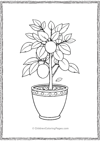 Growing Lemon Tree In A Pot Free PDF Printable