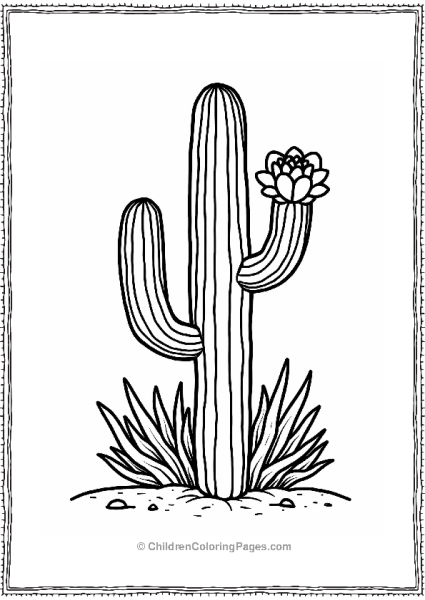 Tall Cactus With Colorful Flowers Free PDF Printable