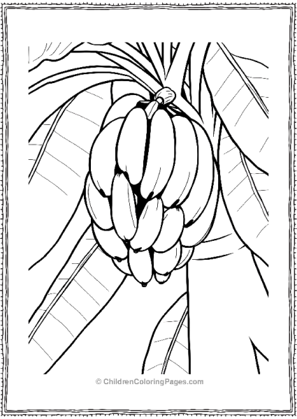 Bananas Growing In Bunches On A Tree Free PDF Printable