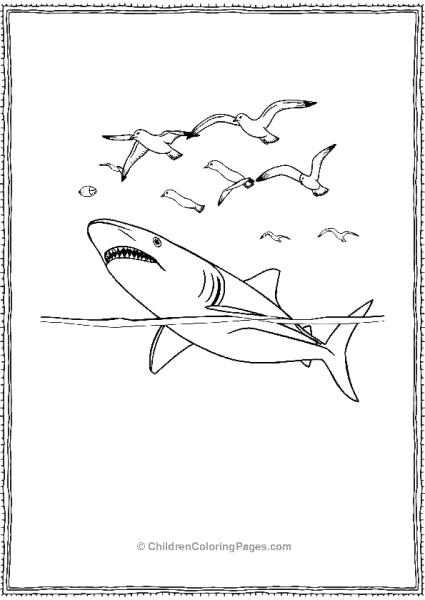 Basking Shark Gliding Below A Flock Of Seagulls Free PDF Printable