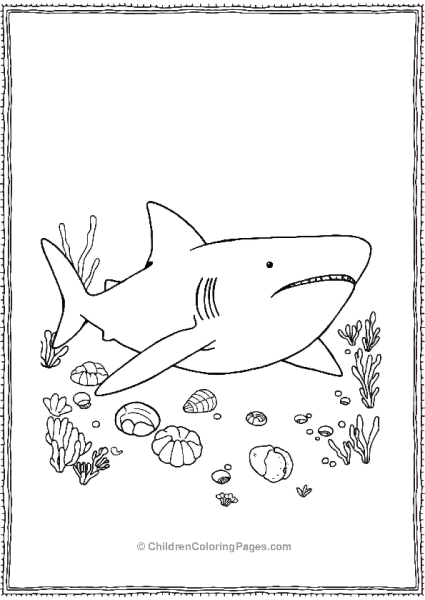 Basking Shark With Seashells Free PDF Printable