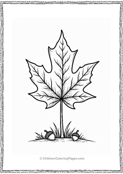 Beautiful Maple Leaf With Acorns Free PDF Printable