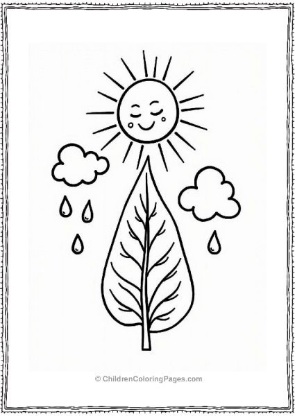 Photosynthesis Cycle With Sun And Leaf Free PDF Printable