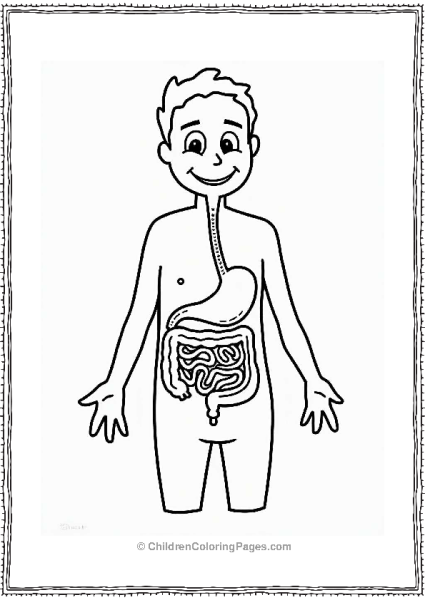 Simple Digestive System Cartoon Free PDF Printable