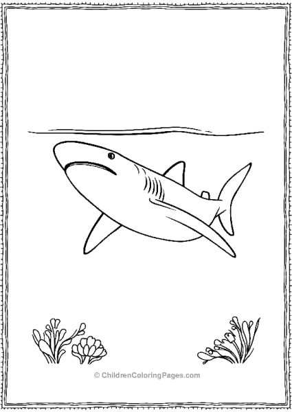 Whale Shark Gentally Swimming Free PDF Printable