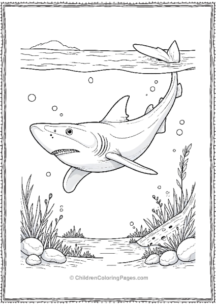 Whale Shark Near Top Free PDF Printable