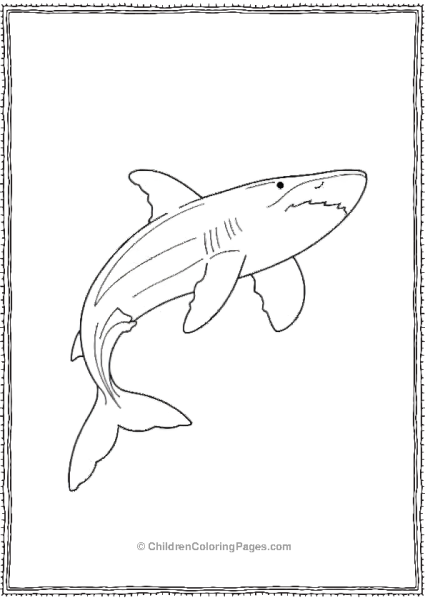 Whale Shark Swimming Gently Free PDF Printable