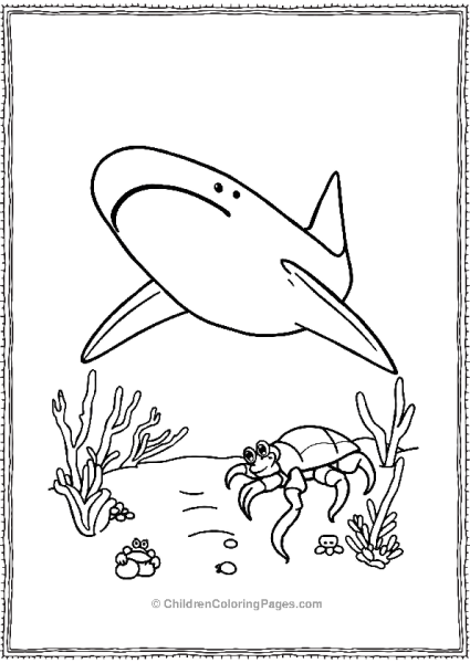 Whale Shark With A Hermit Crab Free PDF Printable