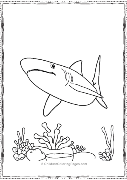 Whale Shark With A Sea Sponge Free PDF Printable