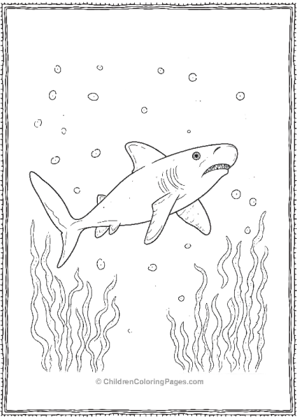 Whale Shark With Plankto Free PDF Printable