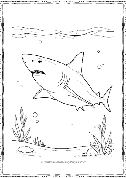 Bull Shark In Clear Water Free PDF Printable