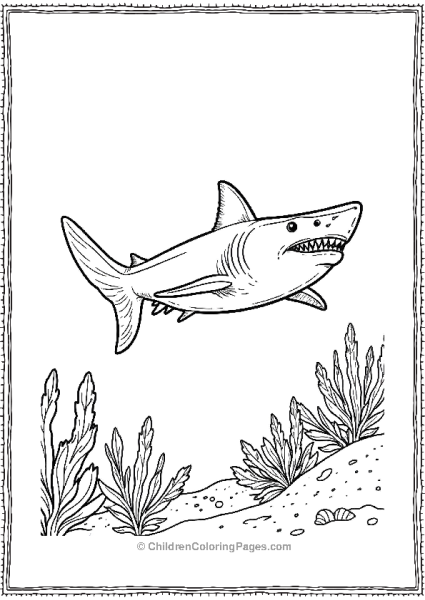 Bull Shark Near A Coral Free PDF Printable