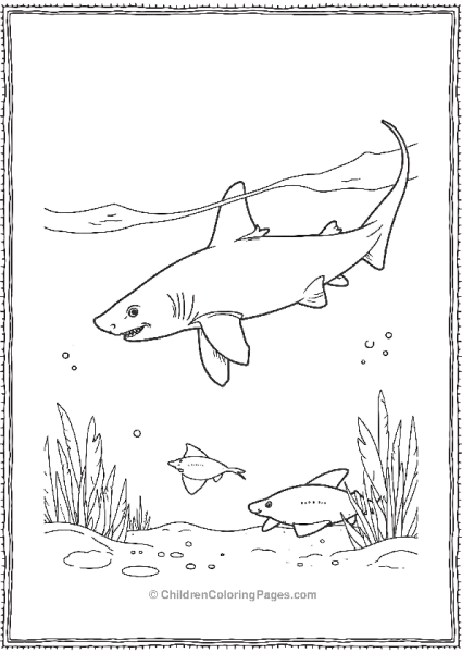 Bull Shark Sharing Waters With Stingrarys Free PDF Printable