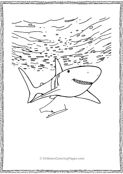 Bull Shark Stuck In Net Free PDF Printable