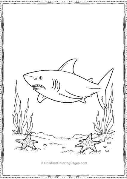 Bull Shark Surrounded By Starfish Free PDF Printable