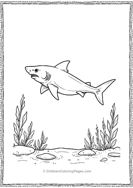 Bull Shark Swimming Above The Sea Grass Free PDF Printable