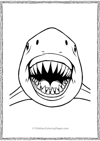 Bull Shark With Sharp Teeth Free PDF Printable