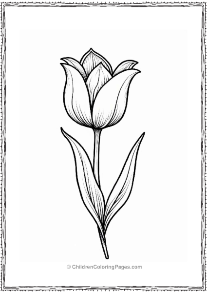 Elegant Tulip With Leaf Flower Coloring Page Free PDF Printable