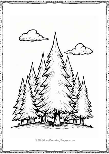 Evergreen Tree Canopy View Free PDF Printable