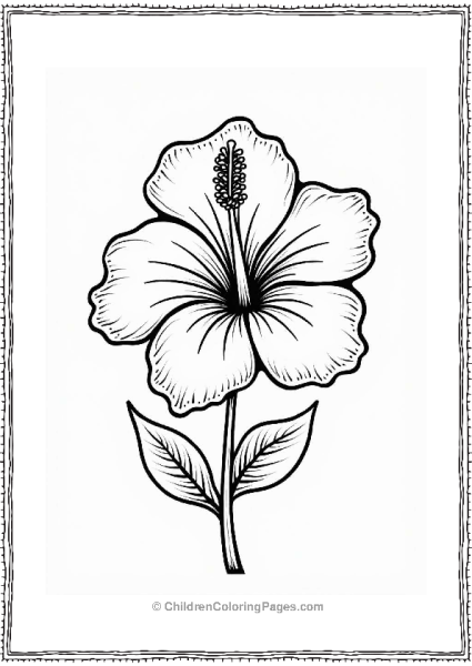 Hibiscus Flower Illustration Free PDF Printable