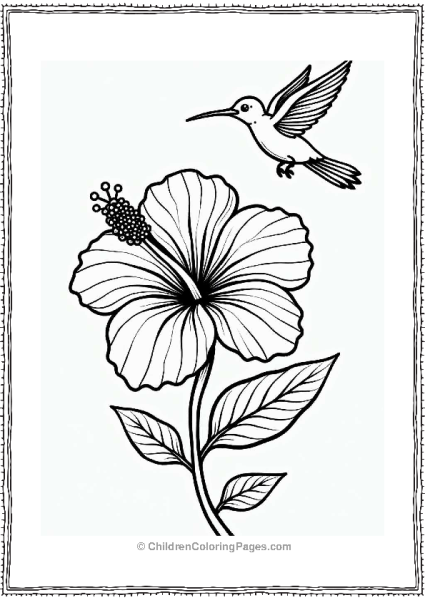 Hibiscus Flower With Hummingbird Free PDF Printable