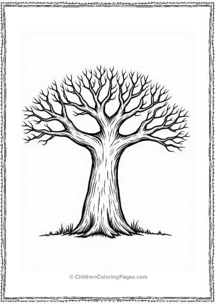 Majestic Baobab Tree Illustration Free PDF Printable