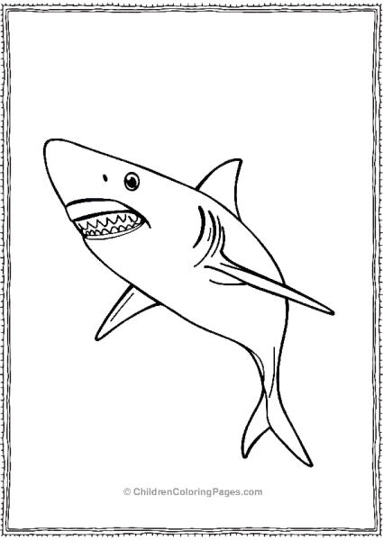 Shortfin Mako Shark Realistic Free PDF Printable