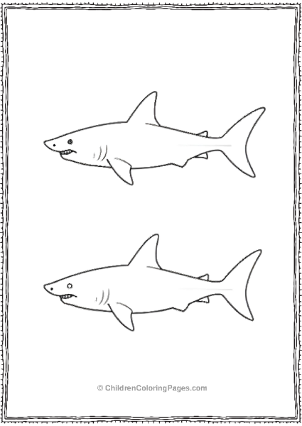 Shortfin Mako Shark Side By Side Free PDF Printable