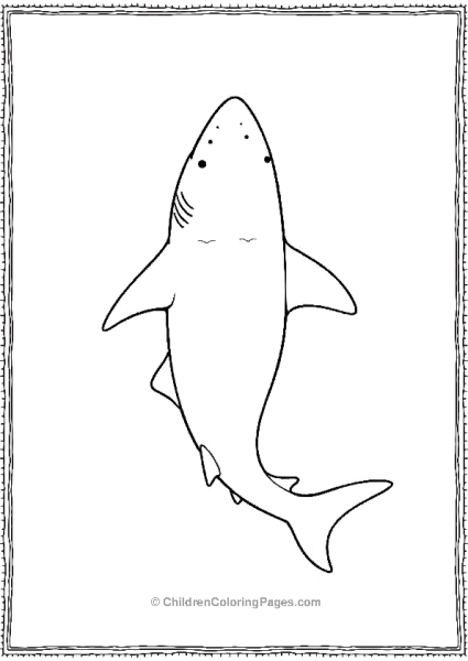 Shortfin Mako Shark Top Down View Free PDF Printable