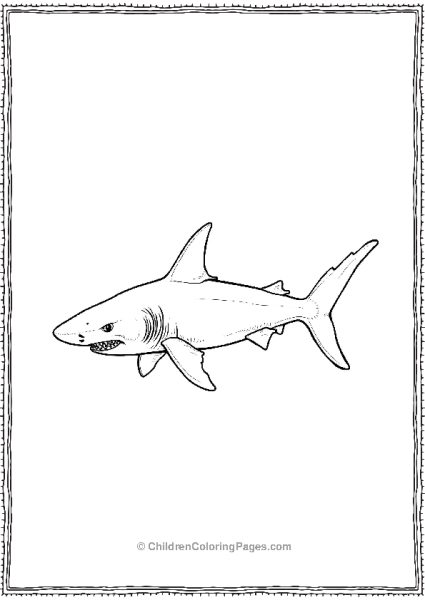 Shortfin Mako Shark With Detailed Gills Free PDF Printable